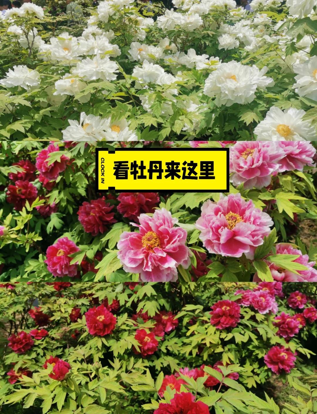 软件之家