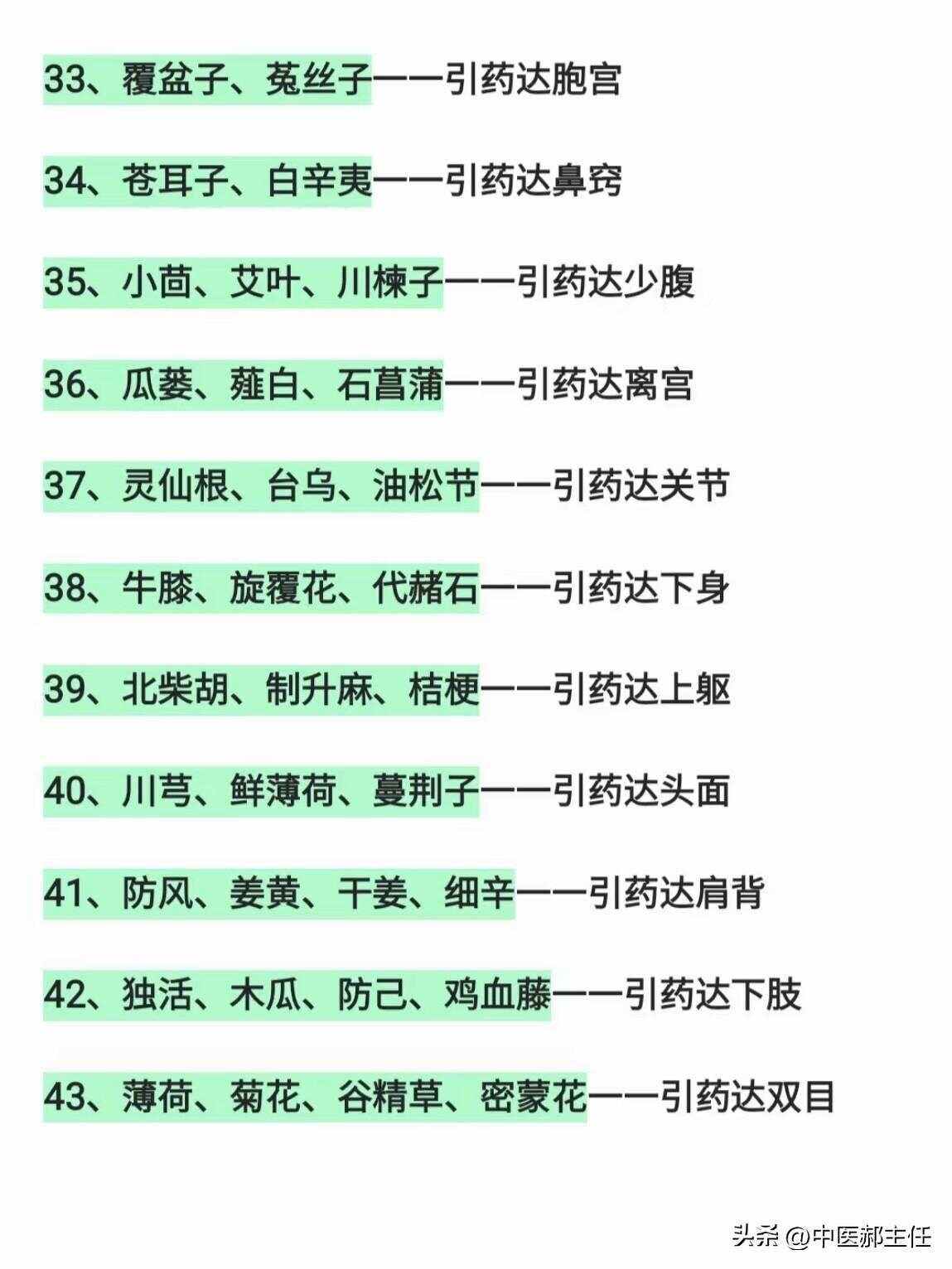 药引子的意思